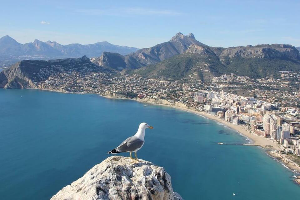 Villa Almendros - Plusholidays Calpe Eksteriør billede